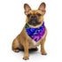 LGBTQ Rainbow Waves Bandana